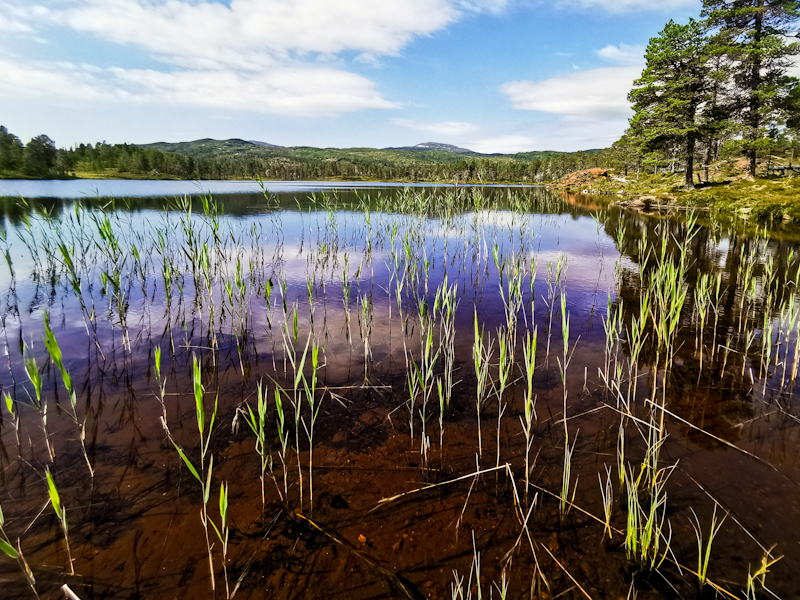 Another little lake