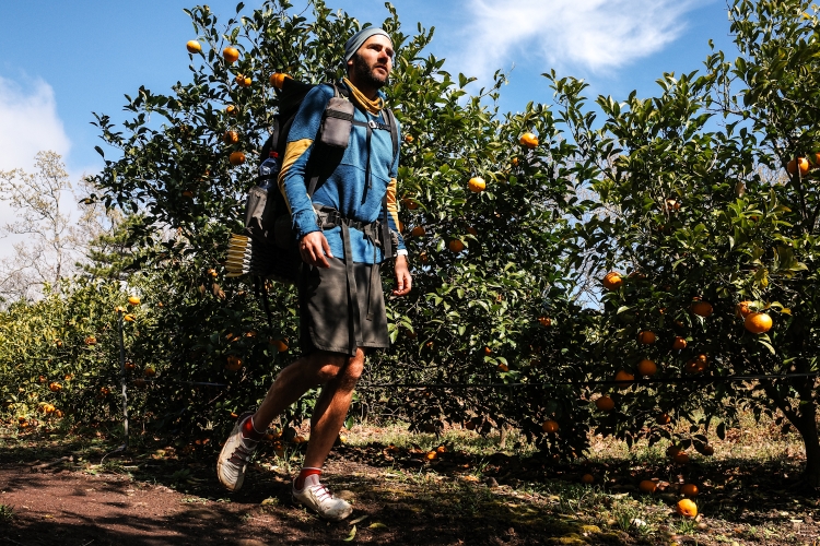 My walk leads me through orange plantations