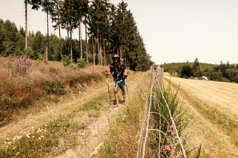 Between forest and pastures