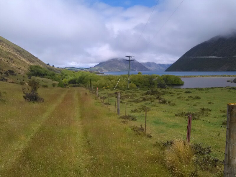 Farm track down to Lake Coleridge