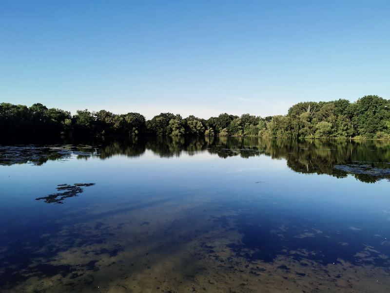 My morning swim lake