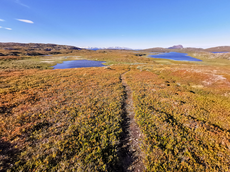 Amazing trail