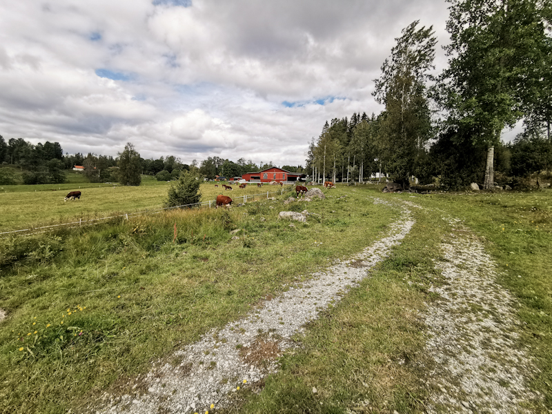 Passing by some farms