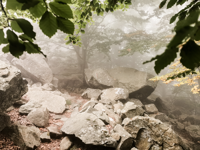 Finding my way through a rock field