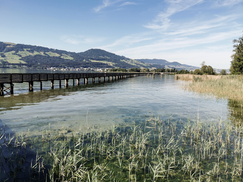 The wooden bridge across Lake of Zürich 