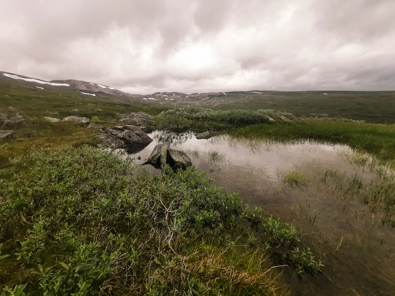 A look back into the hills
