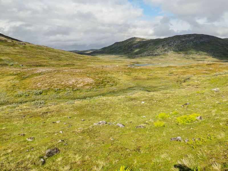 More green, less rocks