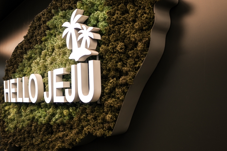 Welcome to Jeju