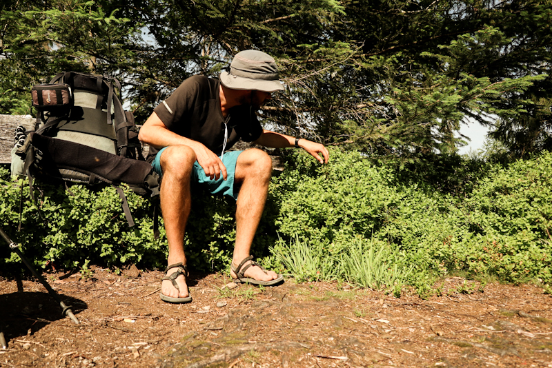 Picking blueberries while sitting on a bench. Life's good!