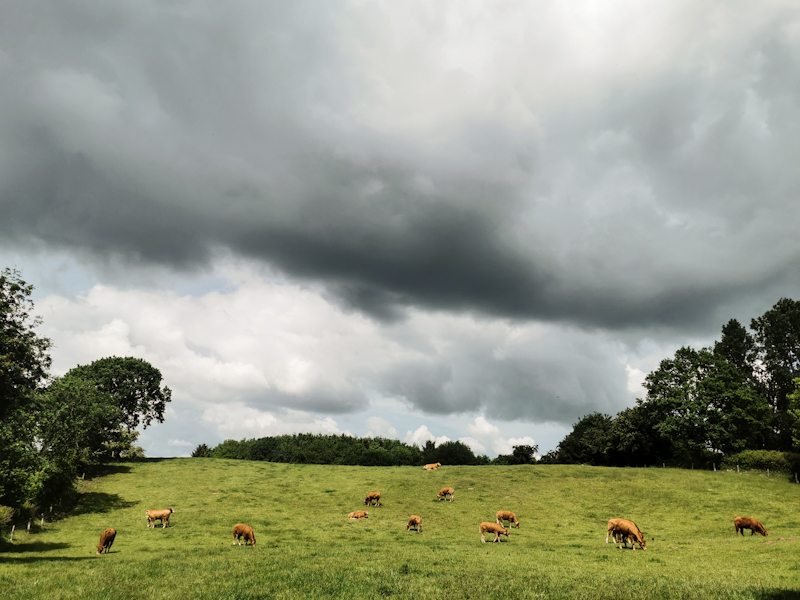 Dark clouds rolling in 