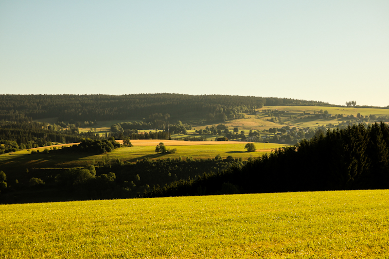 The bright green Black Forest