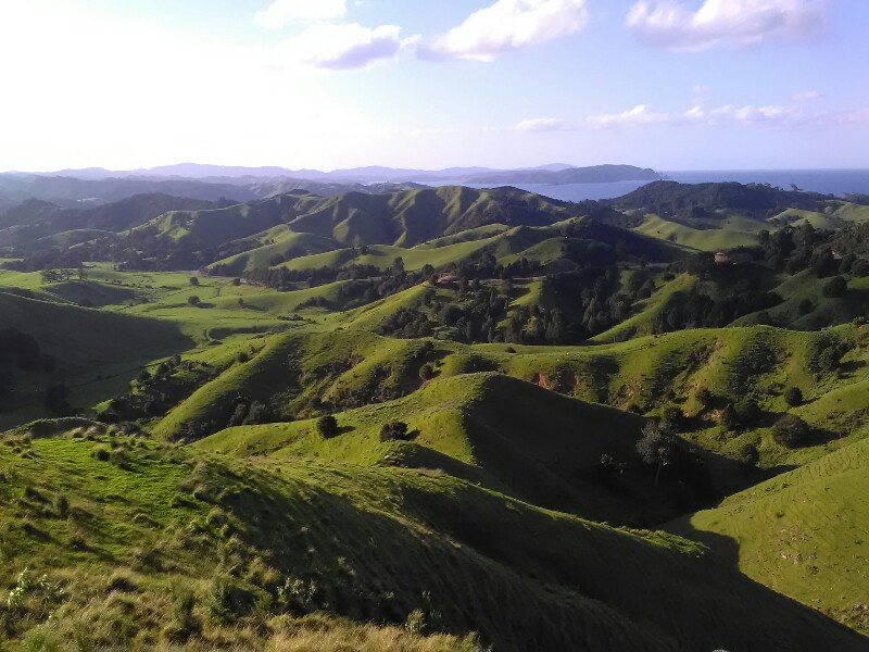 Green, greener, New Zealand