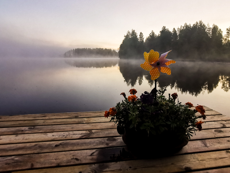 Mystical morning