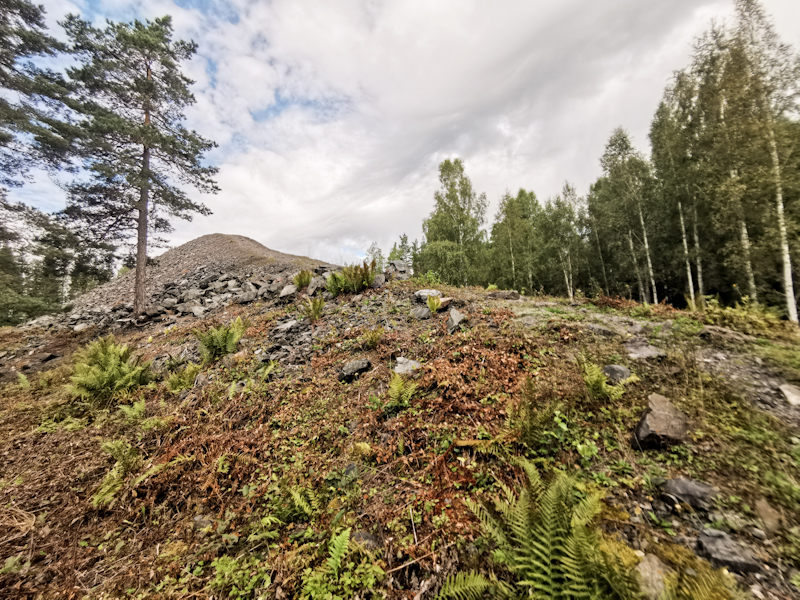 Exploring the mining history 