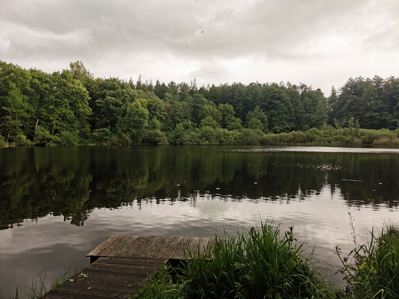 Lake in Berkendorfer Forst