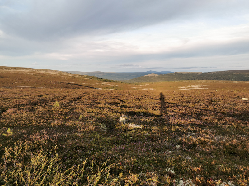 A look towards Norway