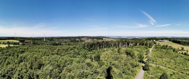 View from 33 meters up