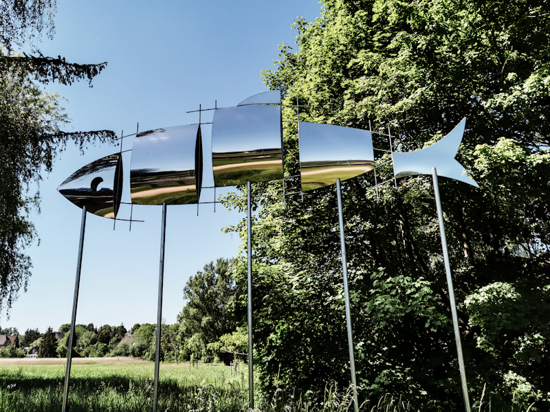 After a reflecting Elk in Norway, a reflecting fish in Germany somewhere along the canal