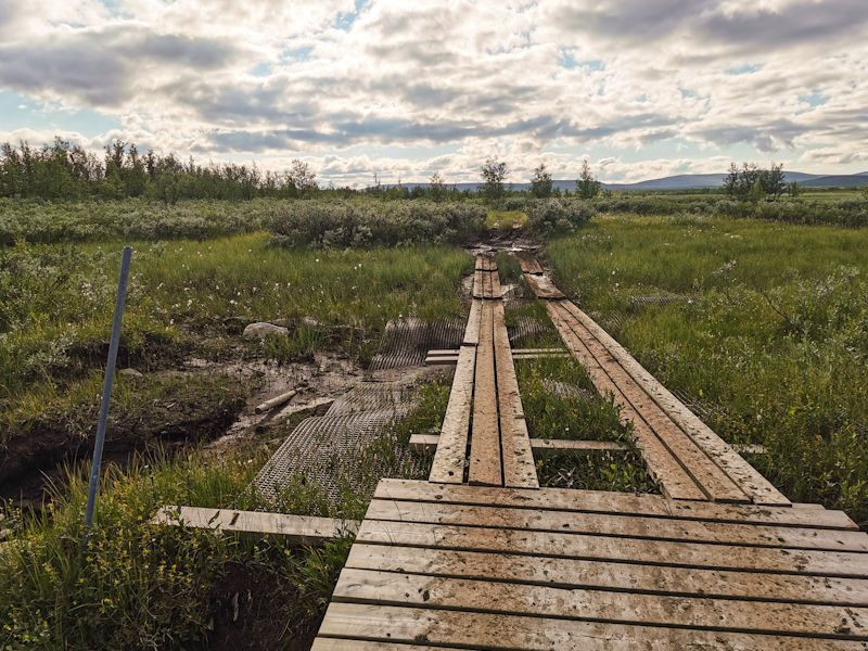 Wetlands