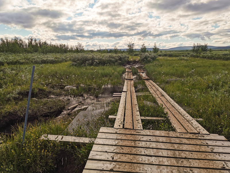 Wetlands 