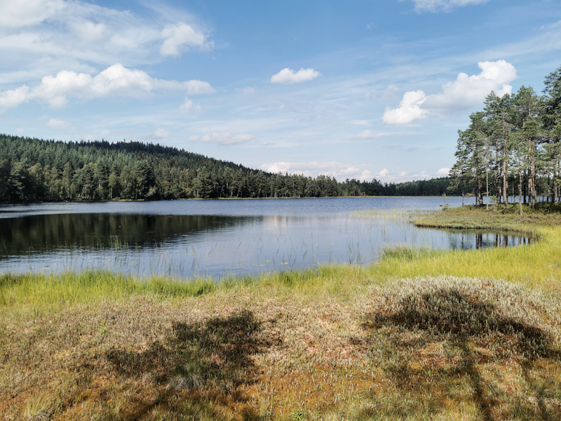 A lake!