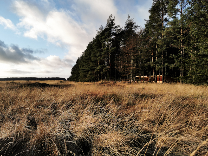 Two brand new shelters along the way