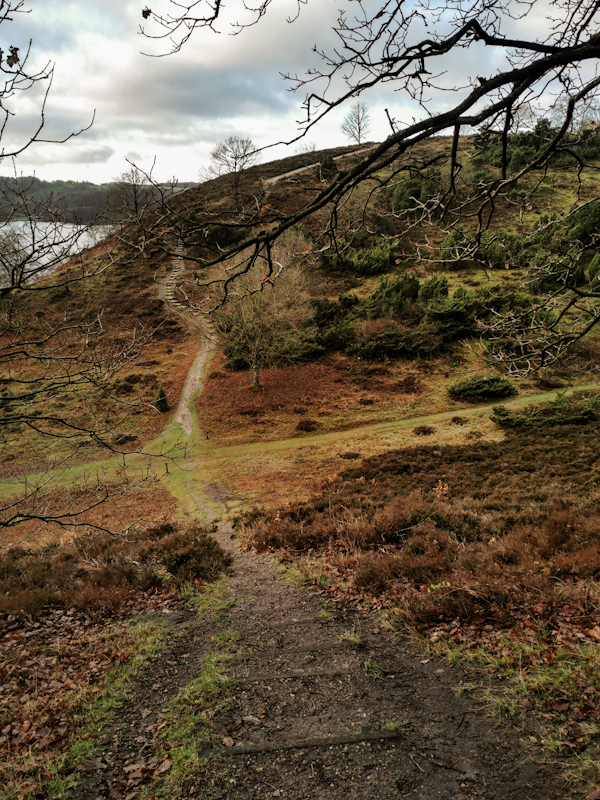 Attractive trail