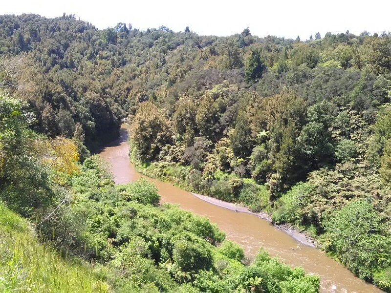 Lots of water after all the rain.