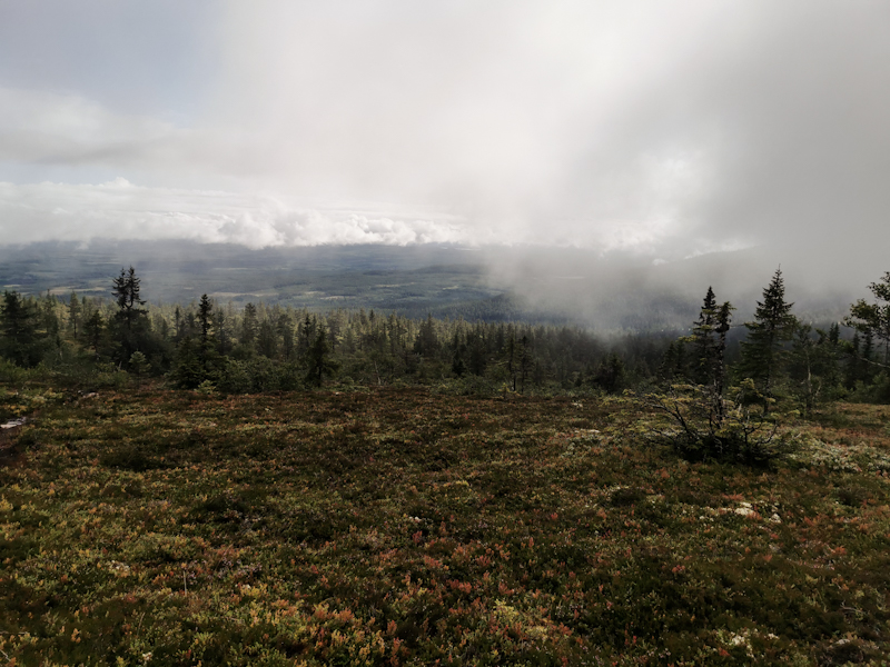 Low clouds hanging around the slop3