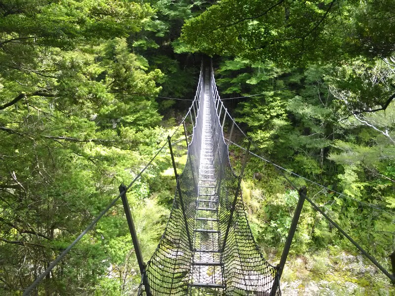 Cool swing bridge