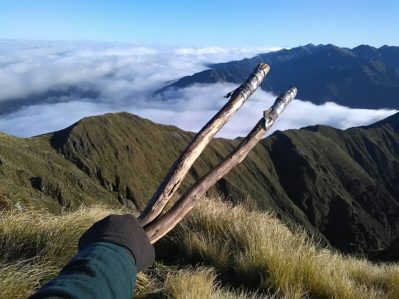 My ecological hiking poles have done a great job