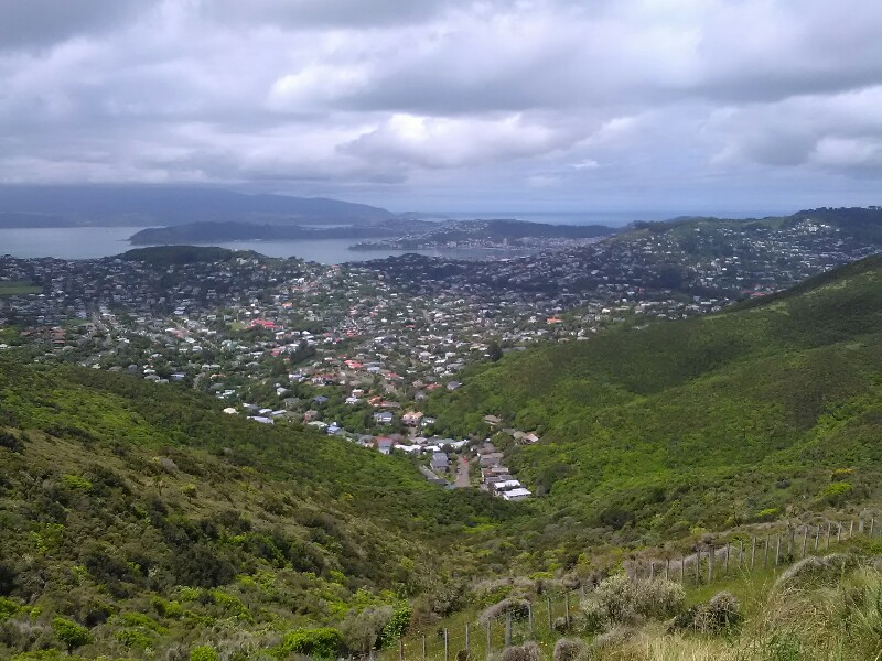 ...and Mt Kaukau