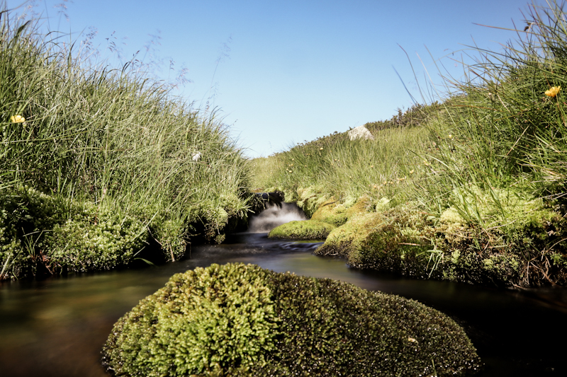 Small, unnamed river