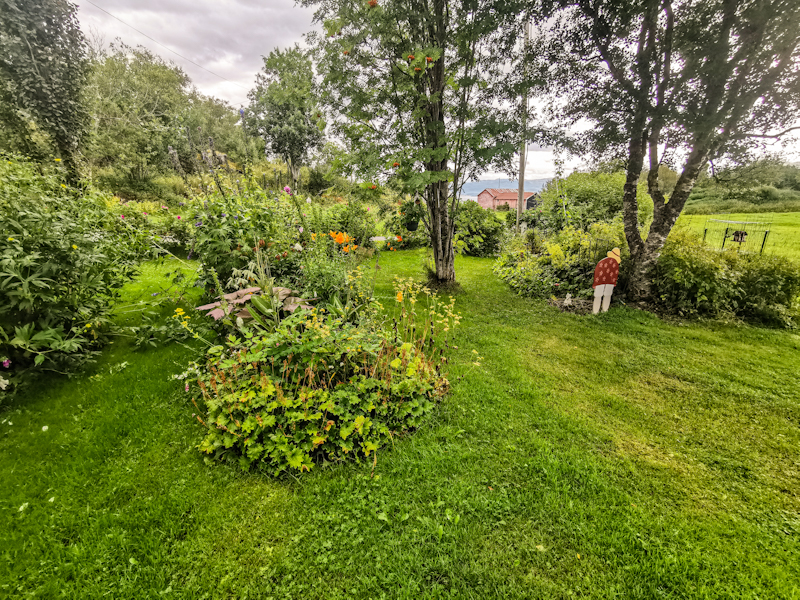 Roaming around the garden