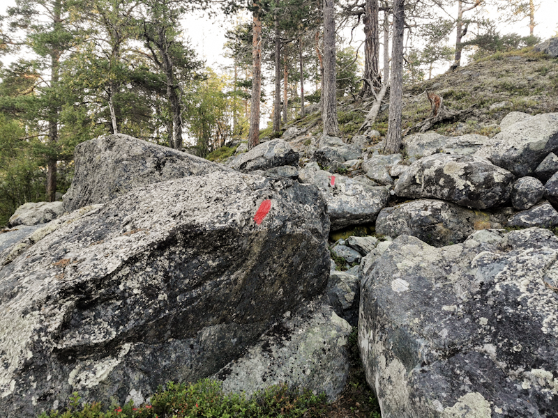 What a crappy start into my hiking day