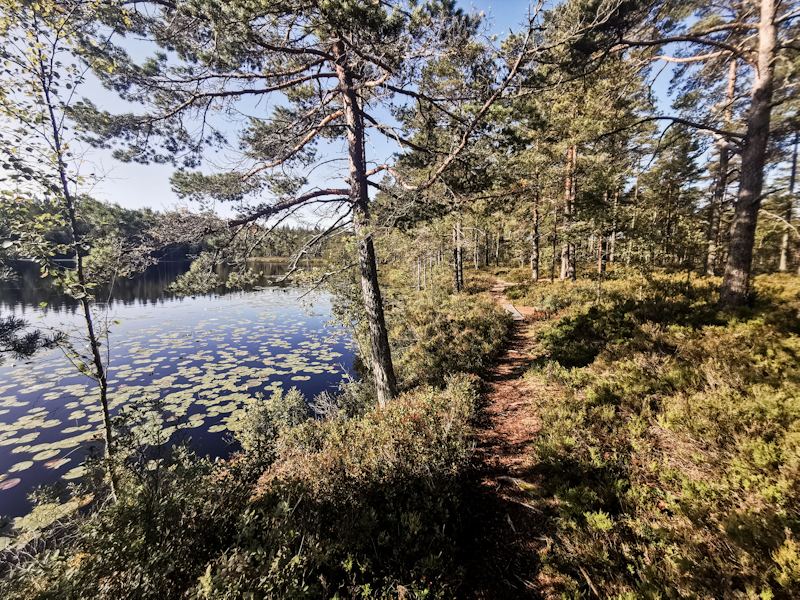 Some lovely trail along a lake 