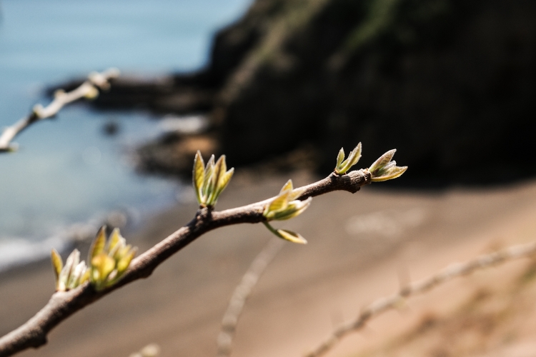 Spring is in the air