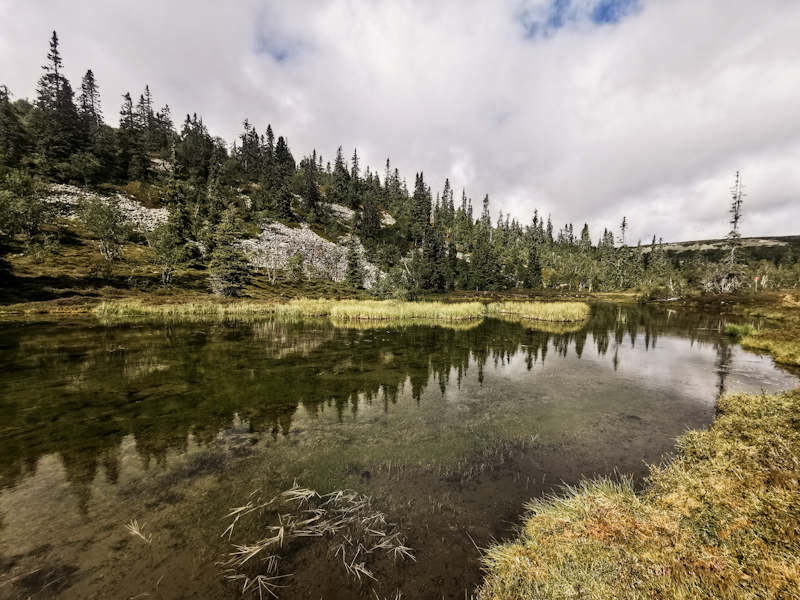 Passing a little tarn 