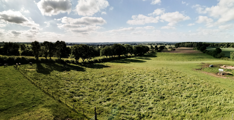 View from the observation tower 