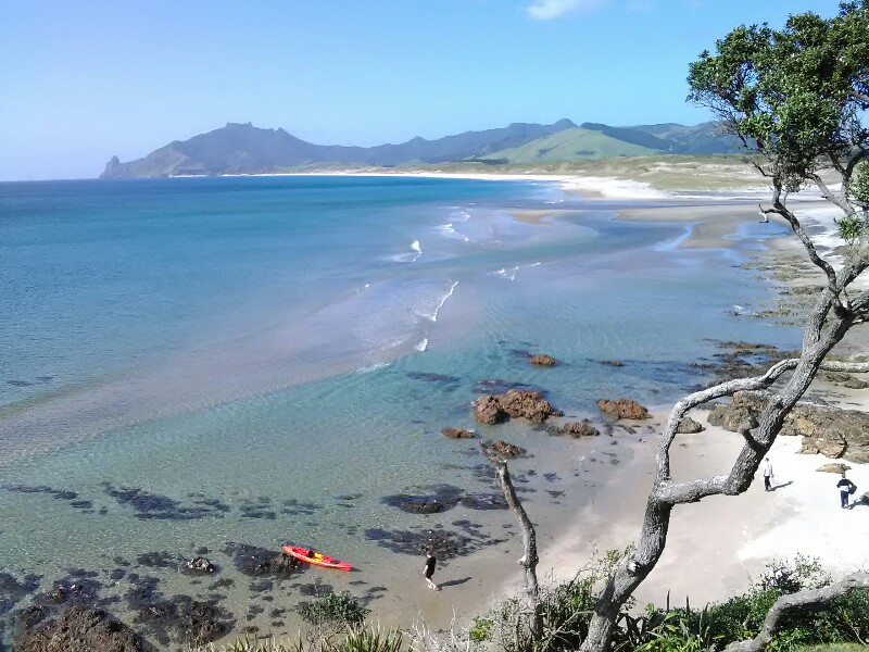 Beach and Bream Head