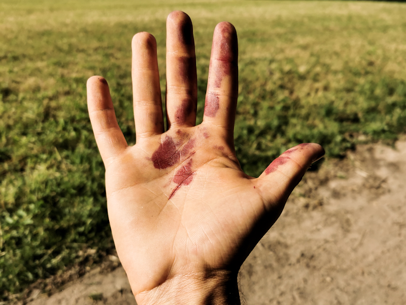 Cherry picking hand