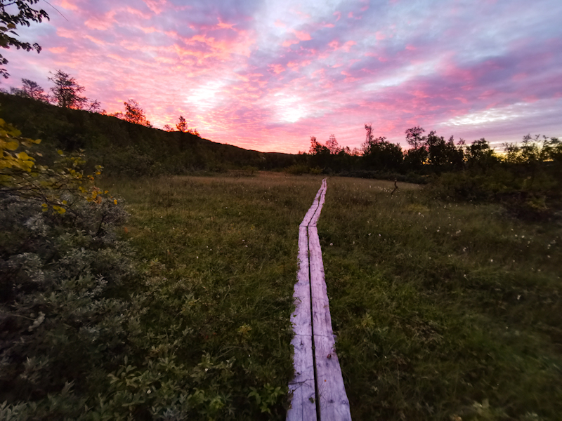 Walking into a burning morning sky