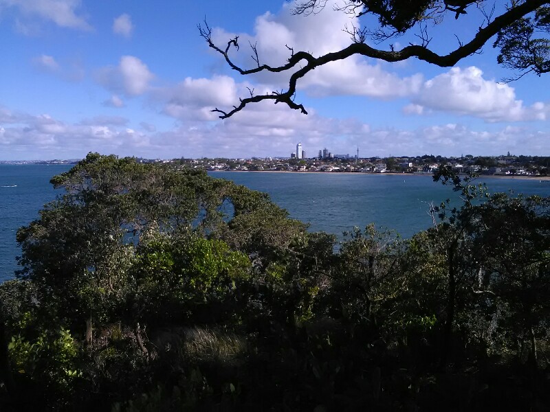 Can you spot the Sky Tower :)