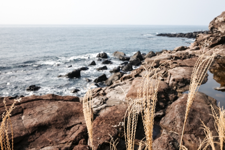 It's a wonderful stretch of coast