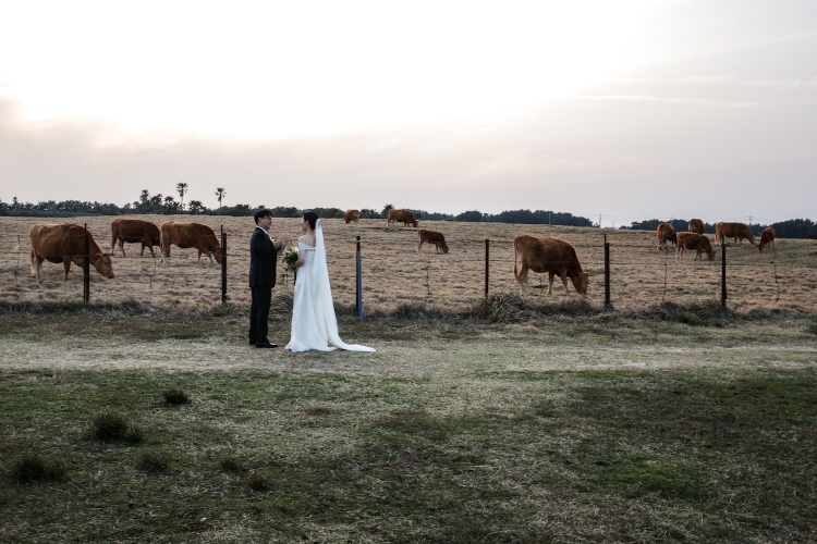 Happily married. The cows don't care.