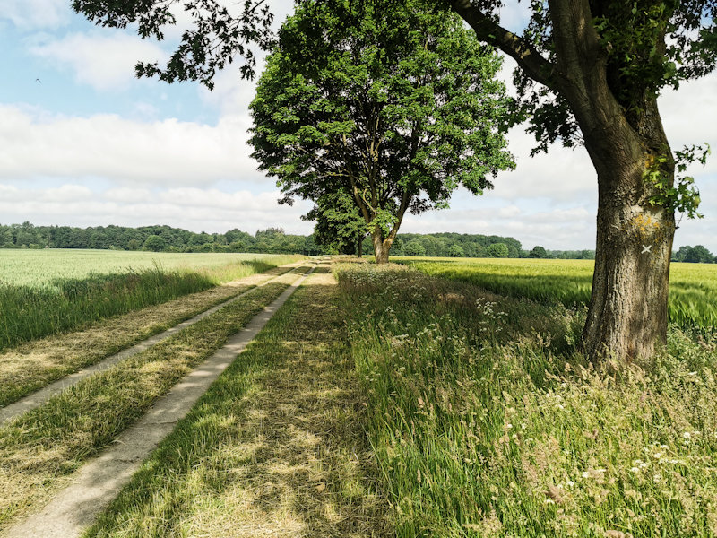 Following the X through the fields 