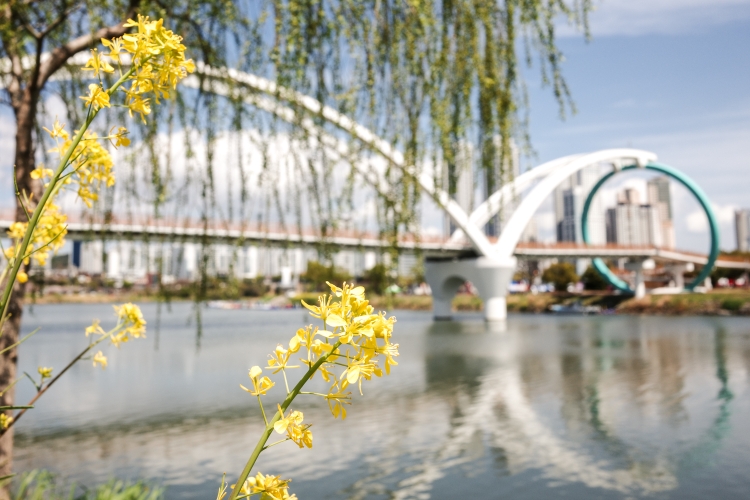 Exploring Ulsan