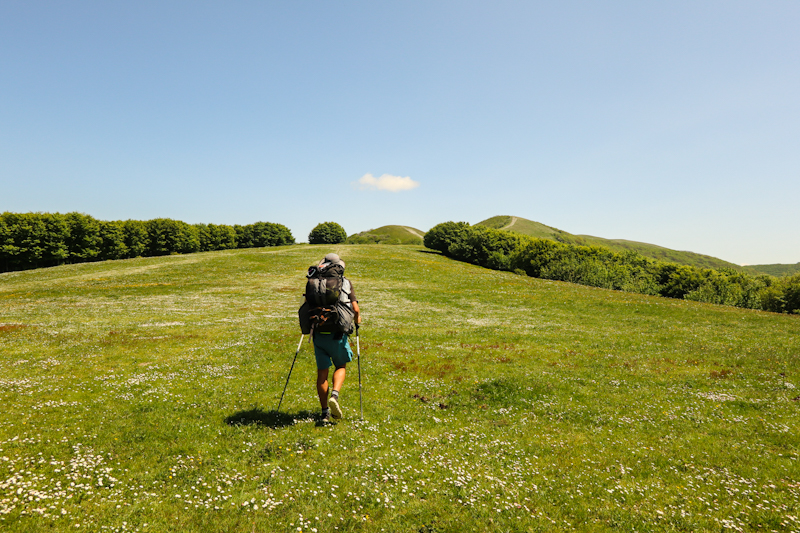 Walking through the grass