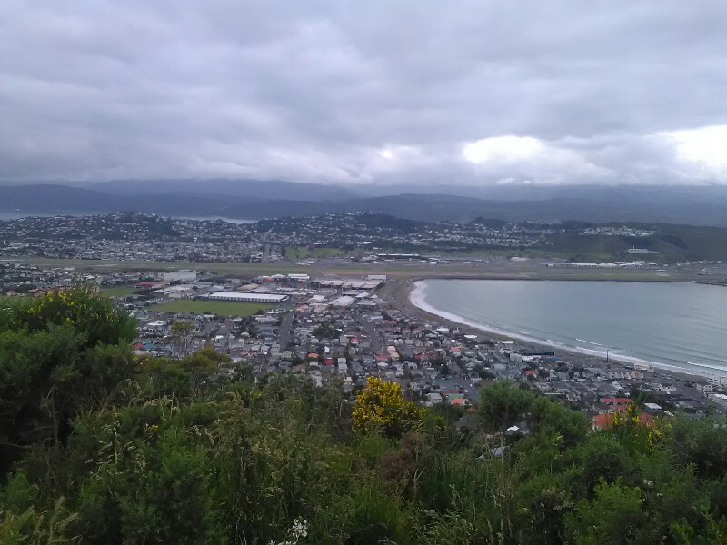 Wellington Airport