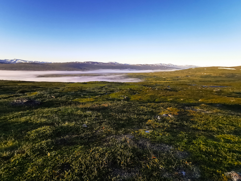 Looking down the foggy flat I will walk on this morning